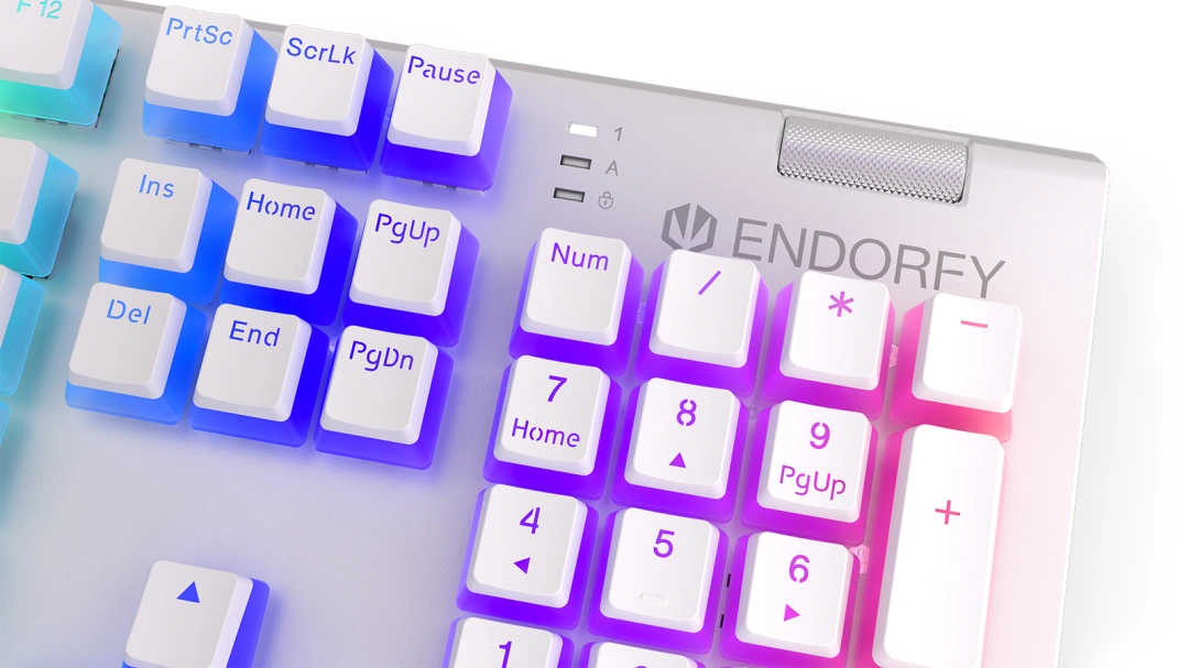 ENDORFY Omnis Pudding Onyx Kailh Blue, RGB podsvícení, US layout (EY5A034), bílá