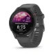 Garmin Forerunner 255, Slate Gray