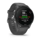 Garmin Forerunner 255, Slate Gray