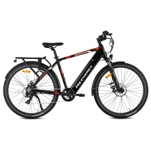 MS Energy eBike t10