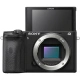 Sony Alpha 6600, black