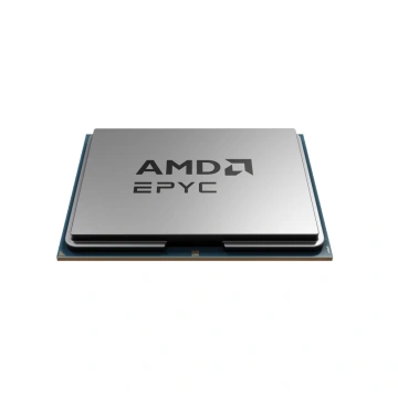 AMD 8224P