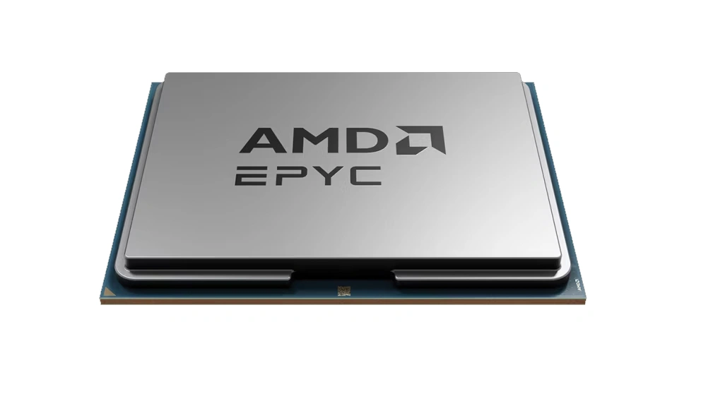 AMD 8224P