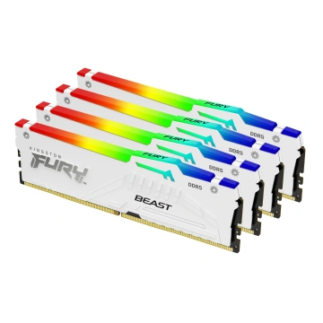 Kingston Technology Beast RGB