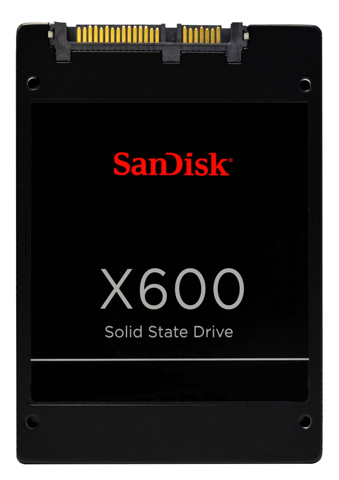 SanDisk X600