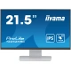 iiyama T2252MSC-W2